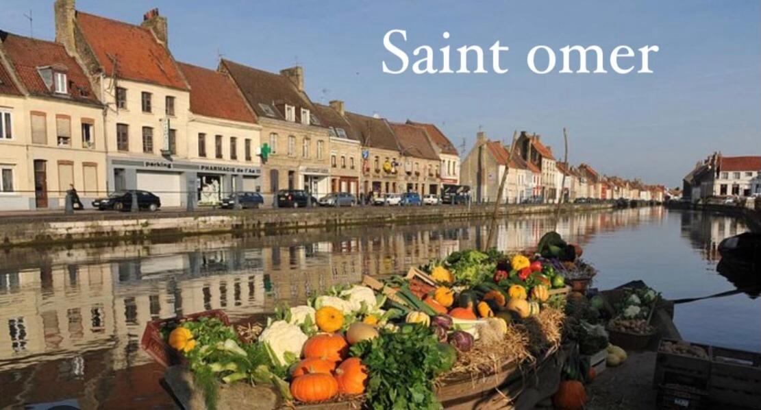 Le Clos Des Glycines Saint-Martin-Lez-Tatinghem 외부 사진
